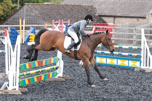 Class 7 - Fences 3' to 3'3